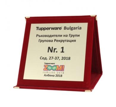 Плакет плюш QV